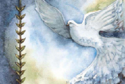 whitedove.jpg