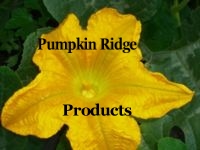 pumpkin_flower_rev.JPG
